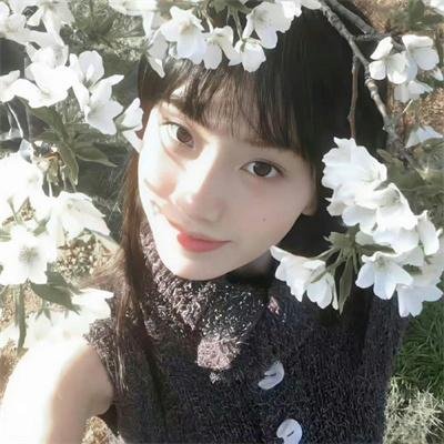 彩虹2015