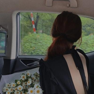 彩色响尾蛇